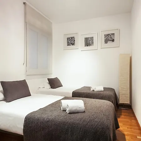 Canela Homes Universitat 巴塞罗那